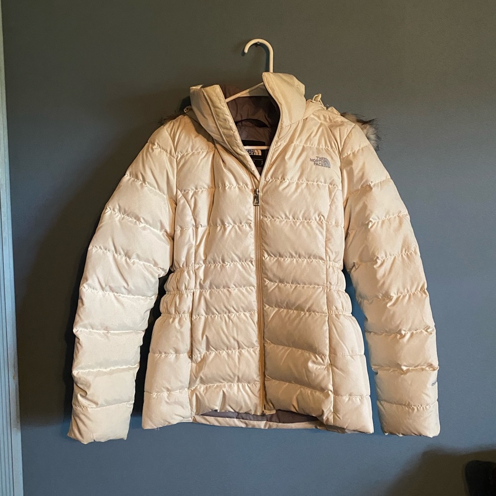 North Face Winter Jacket